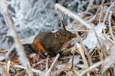 《堕落之主》续作宣布2026年发售 Epic拥有永久独占权